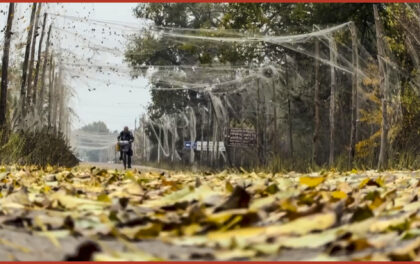 Ucraina. La tregua a Oleshky dimostra che la pace è possibile