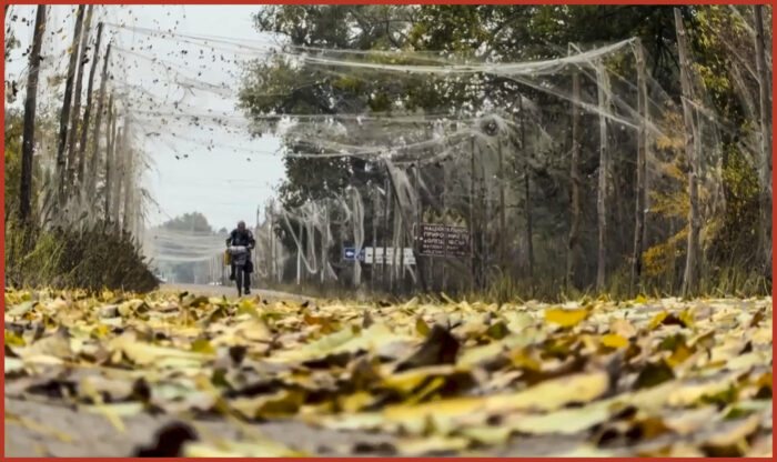 Ucraina. La tregua a Oleshky dimostra che la pace è possibile