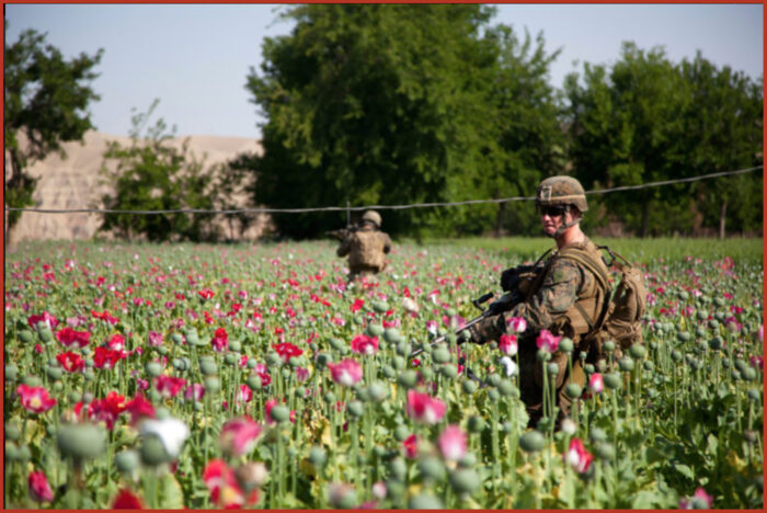 Militari USA in un campo di papaveri da oppio