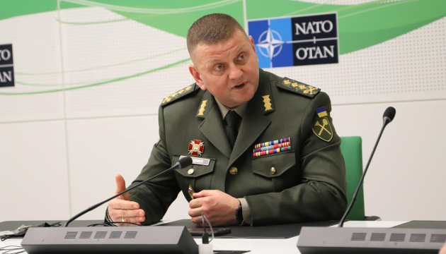 Valeriy Zaluzhnyi comandante in capo delle forze armate ucraine. Ucraina: la guerra per procura, ovvero della macelleria